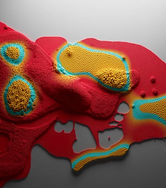 图片[7]-[包更新]Cinema4d动效-Msedov会员频道(已更到26年2月)-土狗cg资源站