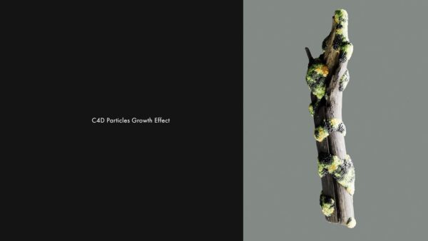 图片[22]-[包更新]Cinema4d动效-Msedov会员频道(已更到25年5月)-土狗cg资源站