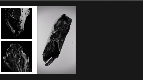 图片[9]-(已更到26年1月）Houdini抽象效果-TIMJ会员频道-土狗cg资源站