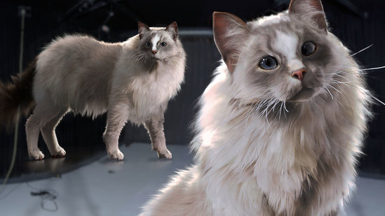 （C010）Houdini动物生物毛发完整制作工作流程视频教程-土狗cg资源站