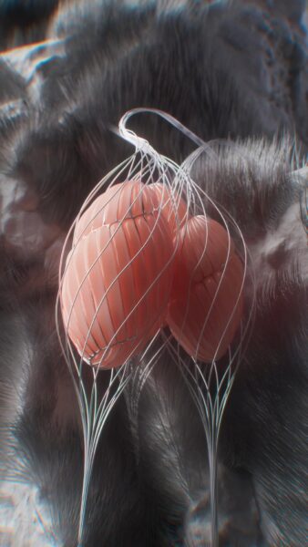 图片[17]-(已更到26年1月）Houdini抽象效果-TIMJ会员频道-土狗cg资源站