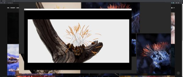 图片[1]-(已更到26年1月）Houdini抽象效果-TIMJ会员频道-土狗cg资源站