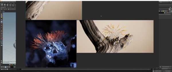 图片[2]-(已更到26年1月）Houdini抽象效果-TIMJ会员频道-土狗cg资源站