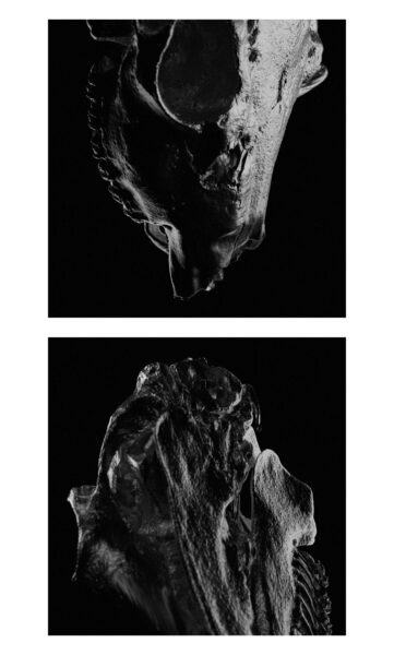 图片[12]-(已更到26年1月）Houdini抽象效果-TIMJ会员频道-土狗cg资源站