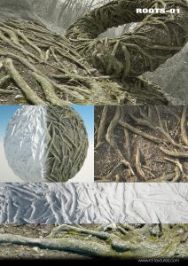 树根ROOTS-01-土狗cg资源站