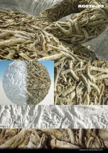 树根ROOTS-03-土狗cg资源站