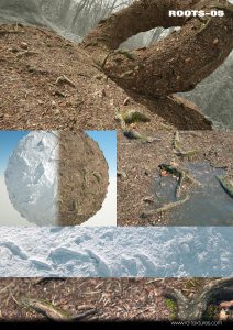 树根ROOTS-05-土狗cg资源站