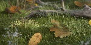 C4D中Octane逼真树叶植物4K纹理【模型】【材质】-土狗cg资源站