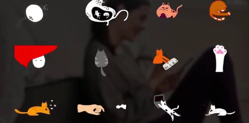 AE模板-卡通猫贴纸动画元素 Cartoon Cats Animations-土狗cg资源站