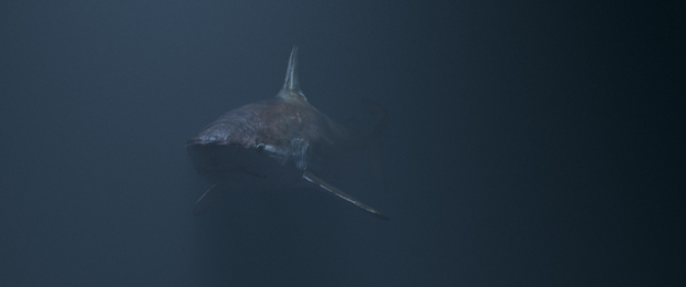 水下鲨鱼-土狗cg资源站