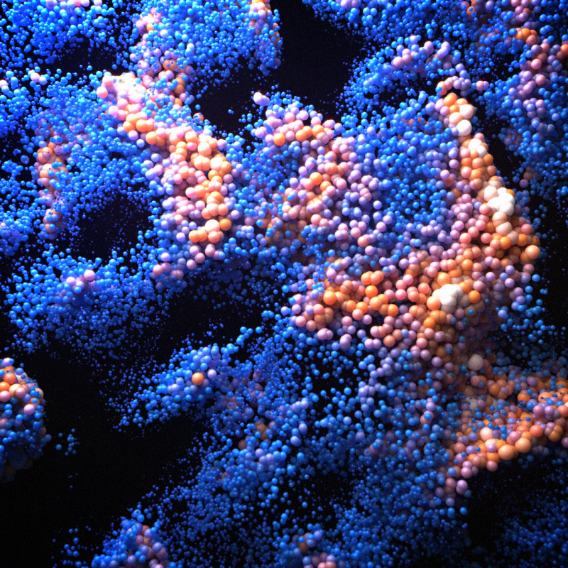 X-Particles 工程111-土狗cg资源站