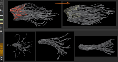 Houdini 快速在物体表面生成飘带 并吹动-土狗cg资源站