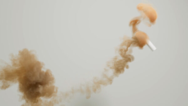 图片[8]-【包更新】Houdini多板块教学-Entagma会员频道（已更到25年8月）-土狗cg资源站