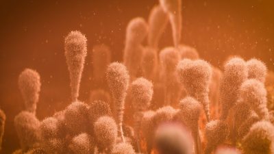 人工精翻-短片《孕育》镜头解析-土狗cg资源站