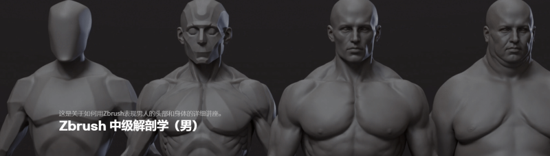 [Ai精翻·朗读更新进度20/46] 全网应该是最好的Zbrush中级解剖学（男）-土狗cg资源站