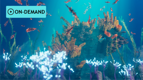 图片[12]-Houdini.School-土狗cg资源站