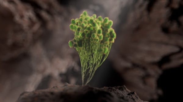 图片[2]-[Ai精翻] Houdini中构建类外星生命形态（觉醒）-土狗cg资源站