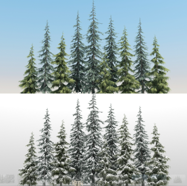 图片[1]-2套250$的高质量松树-土狗cg资源站