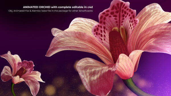 图片[2]-六套花朵模型-土狗cg资源站