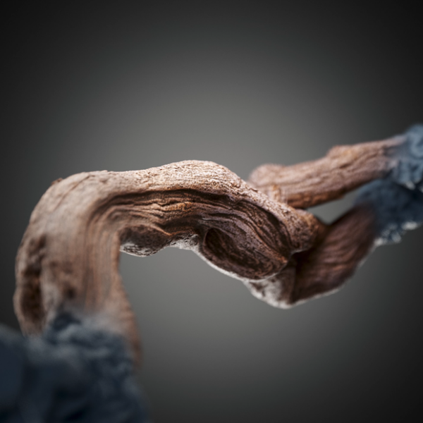 图片[6]-[Ai精翻] Max Schwugier会员频道(包更新·已更到24年10月)-土狗cg资源站