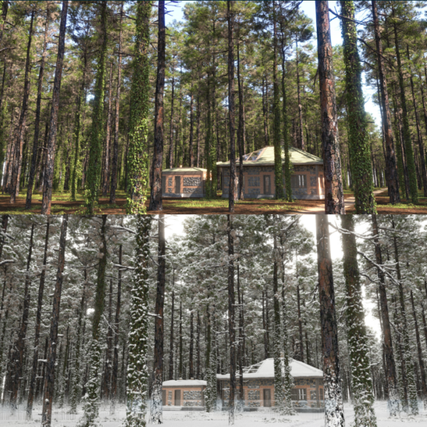 图片[2]-2套250$的高质量松树-土狗cg资源站