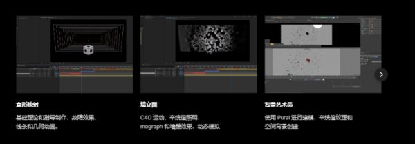 图片[4]-（ai精翻）（会员免费）学习全息图、立面和变形的媒体艺术基础知识-土狗cg资源站