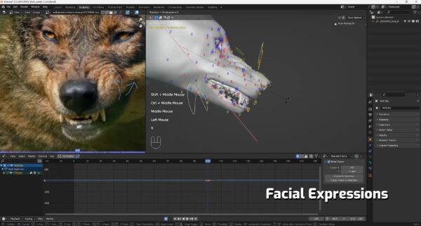 图片[8]-[Ai精翻·中文朗读（会员免费）] 动画篇·Blender创建栩栩如生的狼-土狗cg资源站
