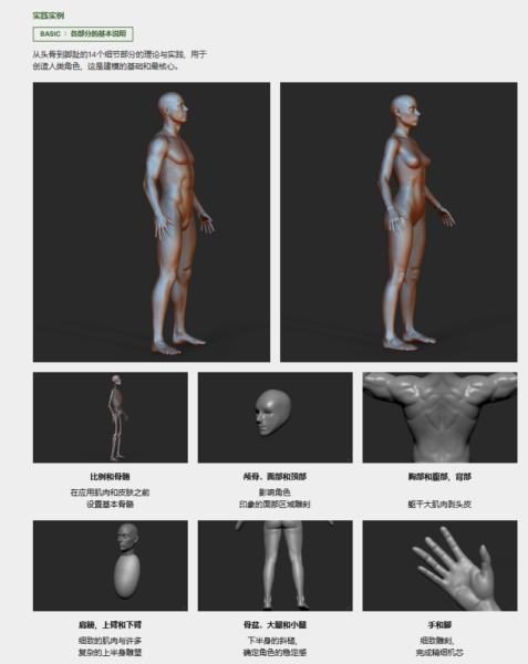 图片[7]-【ai精翻】从英雄到生物：复仇者联盟建模师的 Zbrush 建模-土狗cg资源站