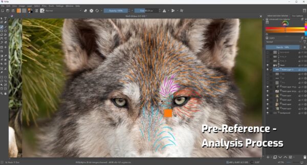 图片[6]-[完结·Ai精翻＆Ai朗读（会员免费）] 毛发篇·Blender创建栩栩如生的狼-土狗cg资源站
