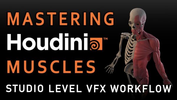 （完结）原价1000美元 掌握 Houdini 肌肉：工作室级 VFX 工作流程-土狗cg资源站