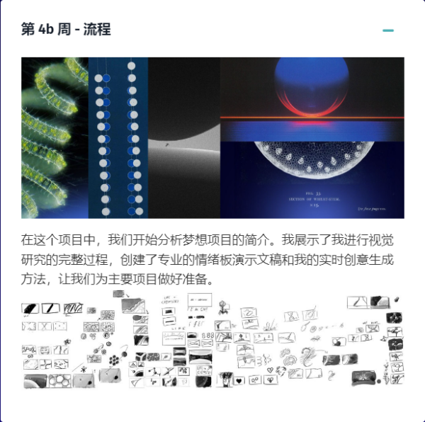 图片[11]-[Ai精翻]（钻石免费） Benmarriott最新MG动画案例拆解-土狗cg资源站