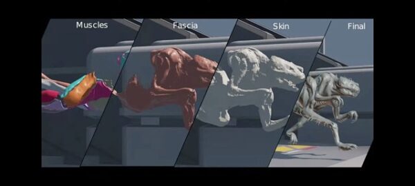 图片[6]-【Ai精翻&Ai中文朗读】Houdini生物CFX皮肤肌肉终极指南-土狗cg资源站