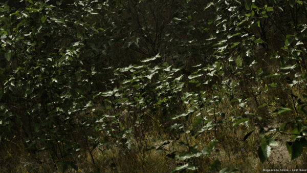 图片[3]-[Ai精翻&Ai中文朗读] UE5.4中借助Megascans资产制作森林场景-土狗cg资源站