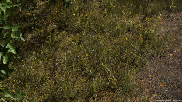 图片[4]-[Ai精翻&Ai中文朗读] UE5.4中借助Megascans资产制作森林场景-土狗cg资源站