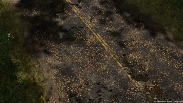 图片[5]-[Ai精翻&Ai中文朗读] UE5.4中借助Megascans资产制作森林场景-土狗cg资源站