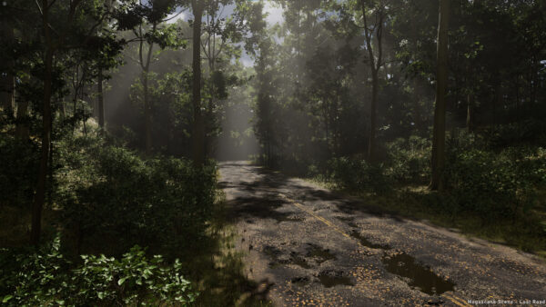 图片[2]-[Ai精翻&Ai中文朗读] UE5.4中借助Megascans资产制作森林场景-土狗cg资源站