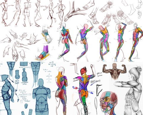 图片[2]-【ai精翻】分析图形绘制-土狗cg资源站