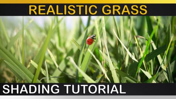 图片[2]-[包更新·Ai精翻] Vray渲染JonasNoell会员频道·含工程(已更新到25年1月)-土狗cg资源站