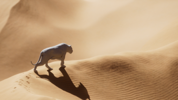 图片[2]-[免费] 非教程·狮子沙漠模拟场景Hip文件-土狗cg资源站