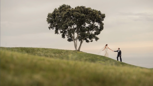 图片[2]-【ai精翻】婚礼学校 – 创造多重曝光-土狗cg资源站