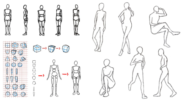 图片[1]-【ai精翻】初学者的绘画 – 轻松掌握解剖学-土狗cg资源站