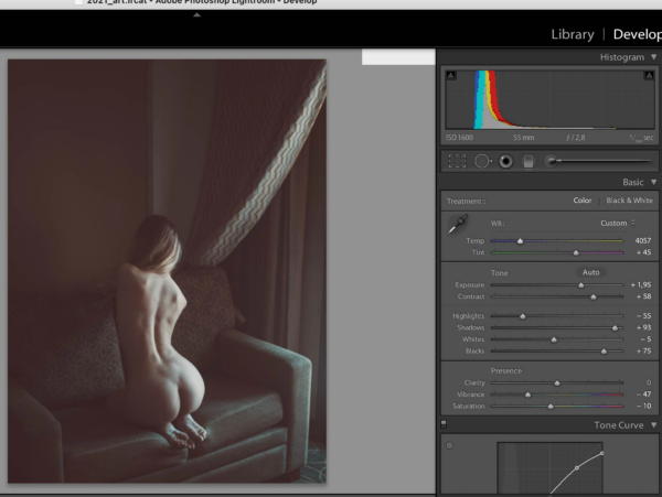 图片[2]-【ai精翻】大师班：在艺术果体摄影中打造自己的风格 -土狗cg资源站