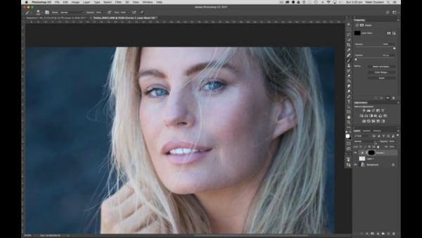 图片[1]-【ai精翻】Photoshop 简介-土狗cg资源站