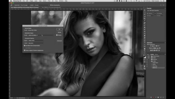 图片[2]-【ai精翻】Photoshop 简介-土狗cg资源站