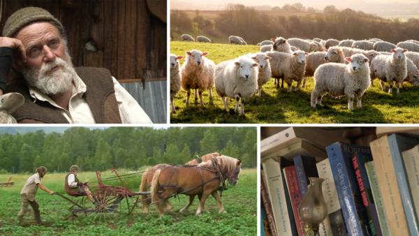 图片[1]-【ai精翻】Premiere Pro 2025 基础培训-土狗cg资源站