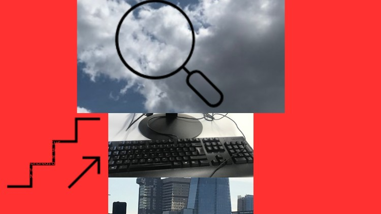 【ai精翻】初学者 SEO:博客、盈利和更高排名-土狗cg资源站