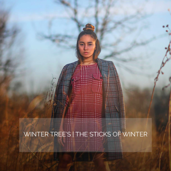 图片[1]-【ai精翻】冬之棍-土狗cg资源站