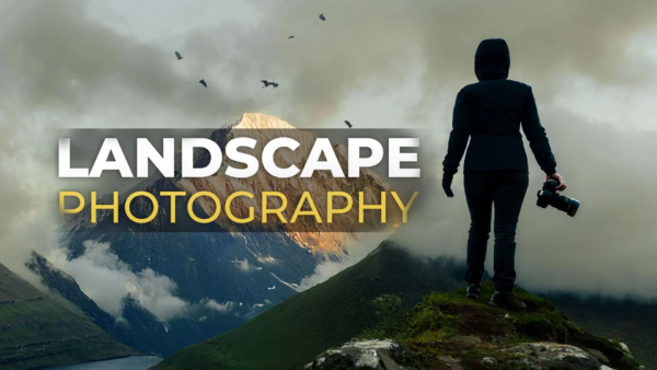 图片[1]-【ai精翻】初学者的风景摄影艺术-土狗cg资源站