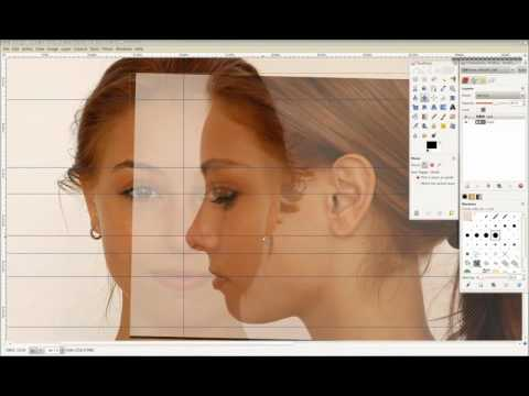 【ai精翻】Blender DVD 培训 - Blenderella-土狗cg资源站