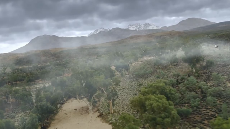 【ai精翻】高级 Vue 技术-土狗cg资源站